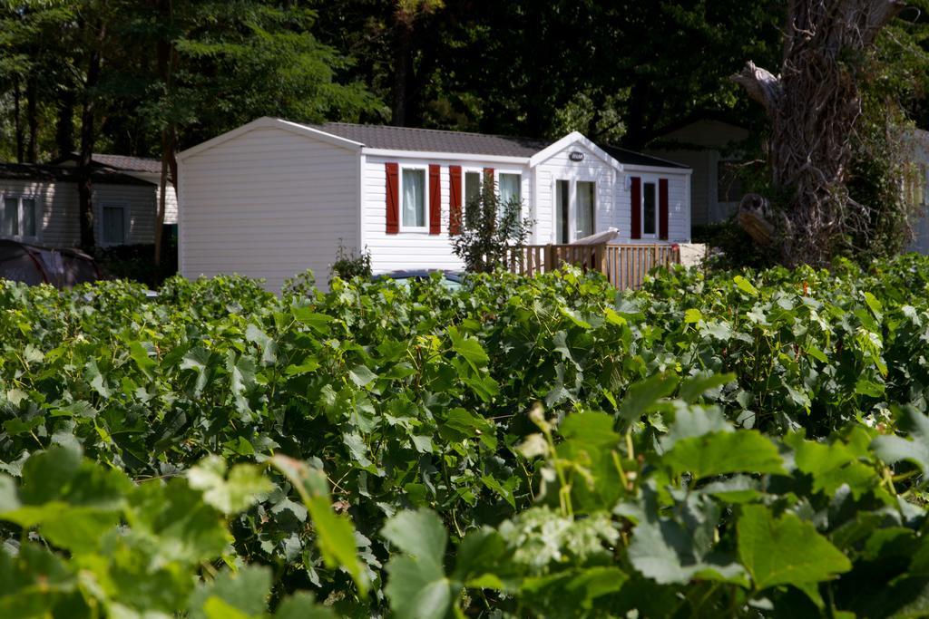Camping Le Pressoir Petit-Palais-et-Cornemps Εξωτερικό φωτογραφία